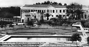 ALGER - MAISON-CARREE - Ecole Nationale d'Agriculture (8)